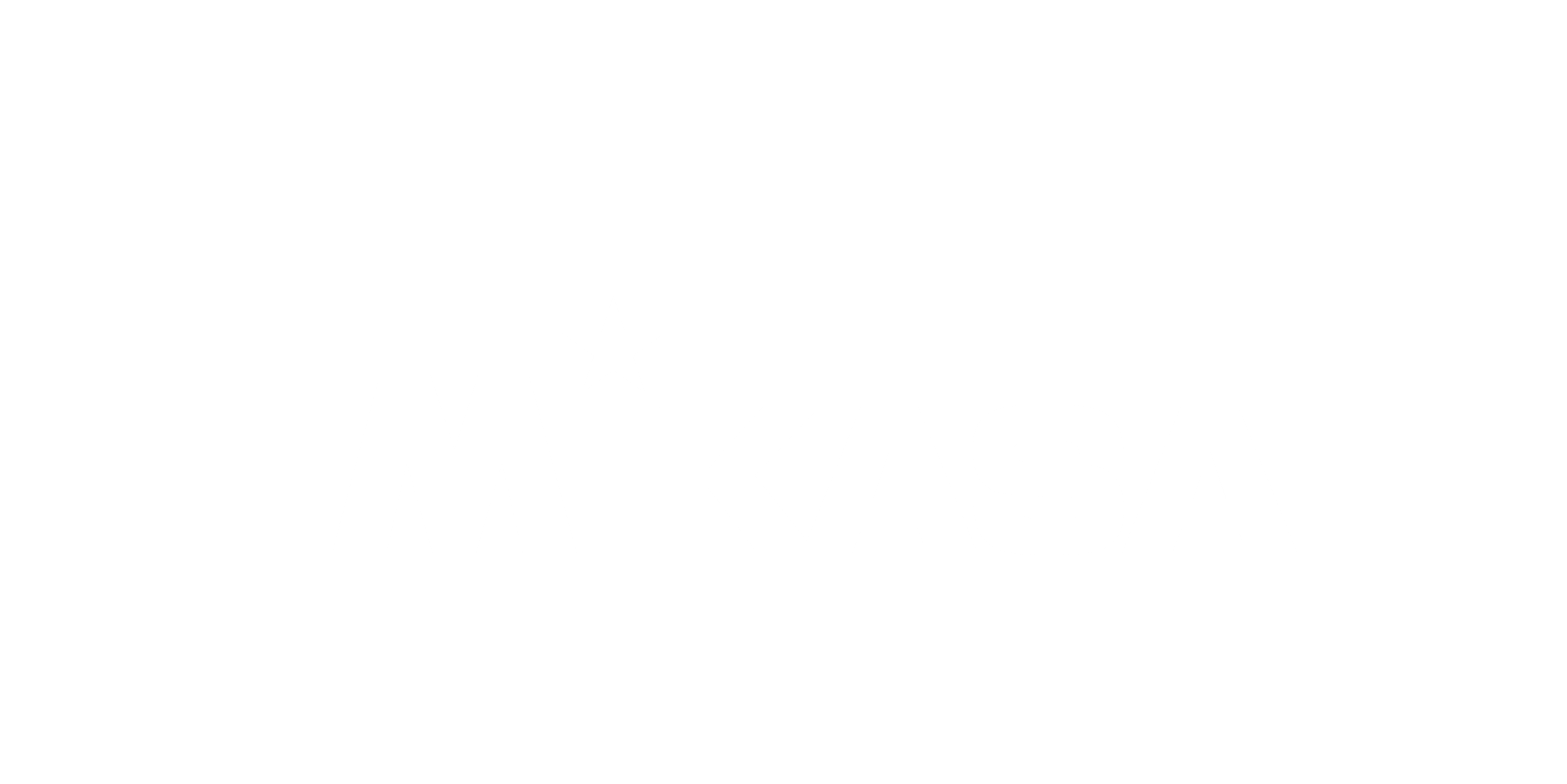 mikasa